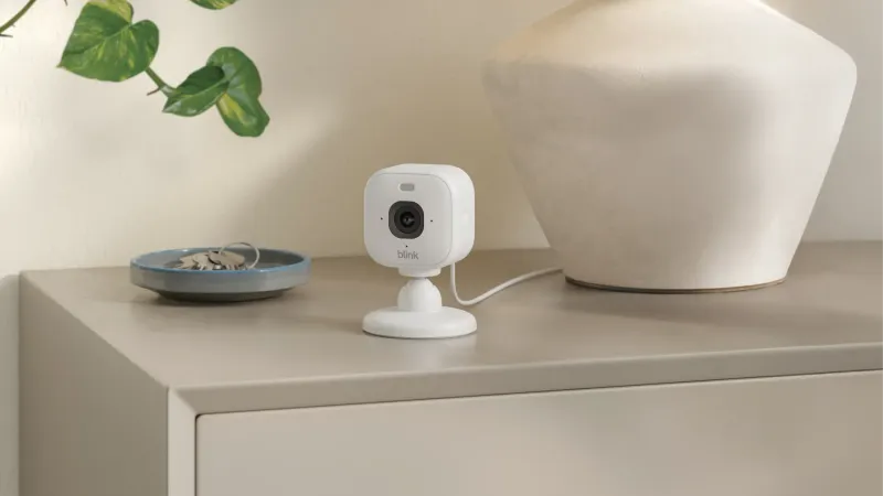 Ring vs Blink for a Family Home: Which One Should You Actually Buy?