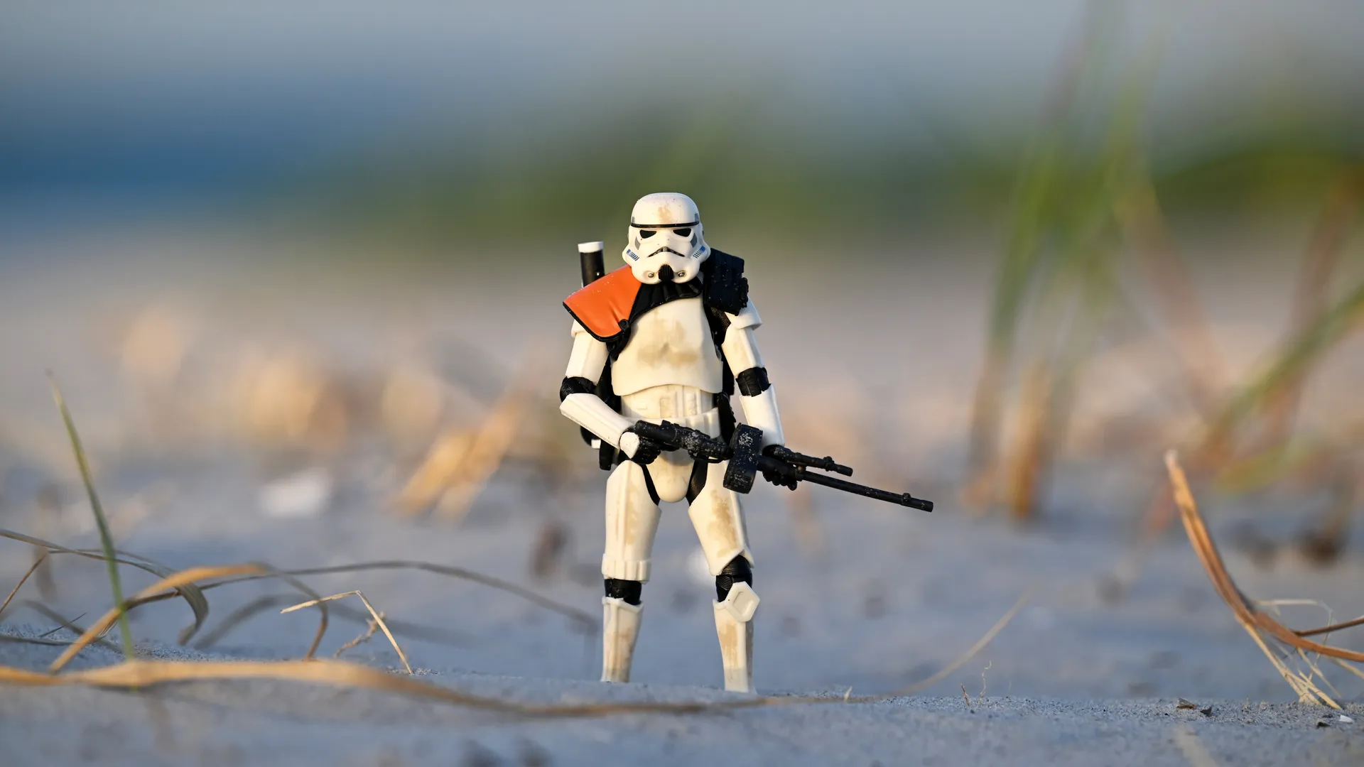 Hasbro Star Wars The Black Series Sandtrooper 6-inch action figure standing on sand dunes among coastal grass in golden evening light