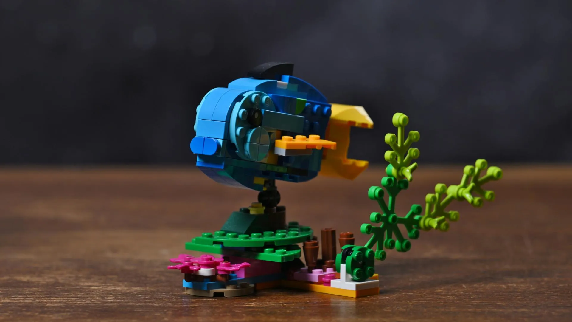 LEGO Creator 3in1 Exotic Parrot (31136) The blue-and-yellow fish alternate build of the LEGO Creator Exotic Parrot (31136) set on its seabed stand with sea plants