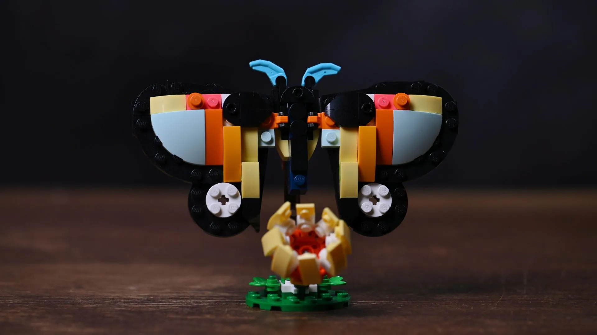 LEGO Creator 3in1 Tropical Toucan (31173) The butterfly alternate build of the LEGO Creator Tropical Toucan (31173) set, wings spread above its brick-built flower