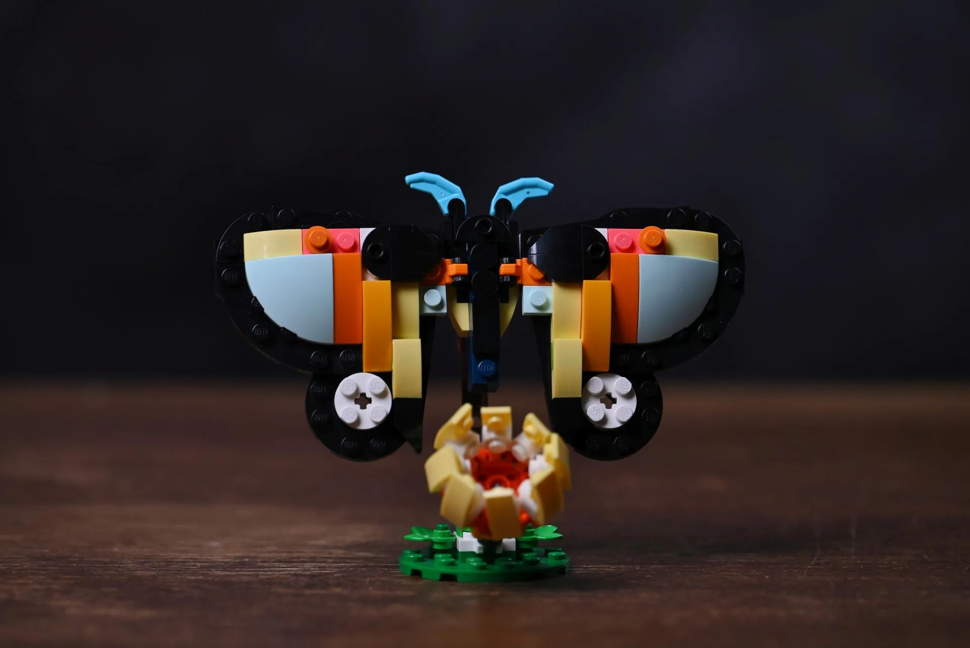 LEGO Creator 3in1 Tropical Toucan (31173) The butterfly alternate build of the LEGO Creator Tropical Toucan (31173) set, wings spread above its brick-built flower