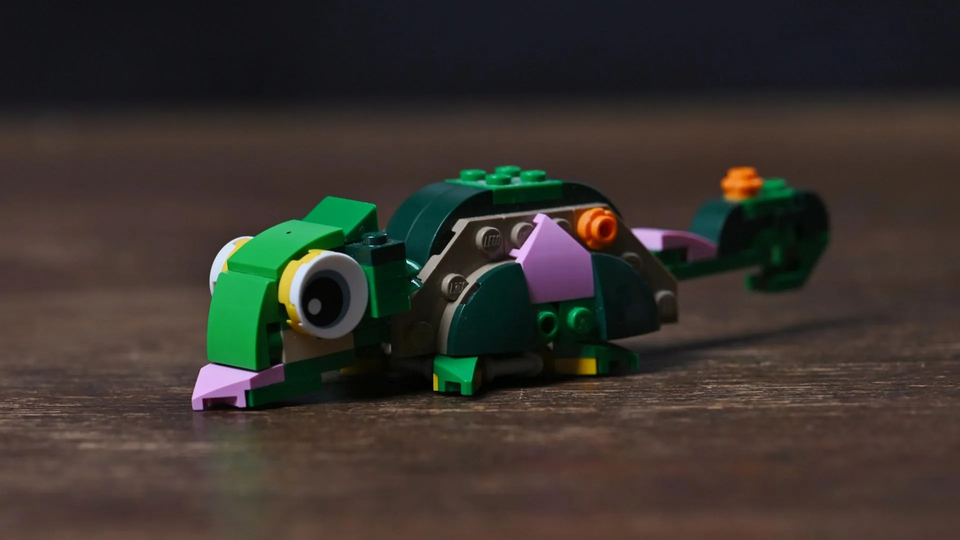LEGO Creator 3-in-1 Turtle with a Water Lily Flower (31377) The chameleon alternate build of the LEGO Creator Turtle with a Water Lily Flower (31377) set, with big eyes and curled tail