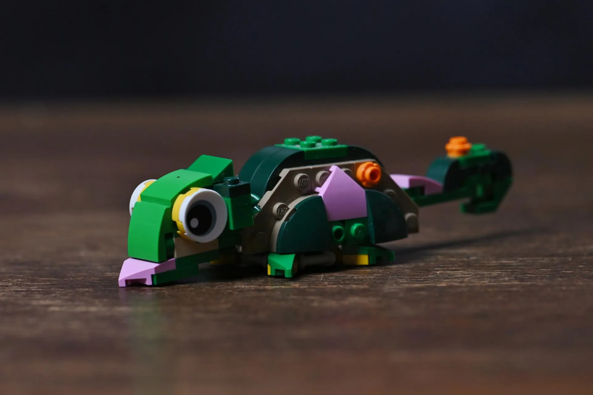 LEGO Creator 3-in-1 Turtle with a Water Lily Flower (31377) The chameleon alternate build of the LEGO Creator Turtle with a Water Lily Flower (31377) set, with big eyes and curled tail
